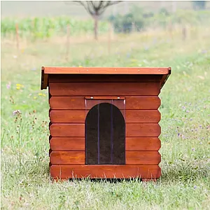 Cusca de caine cubica mare - LLL